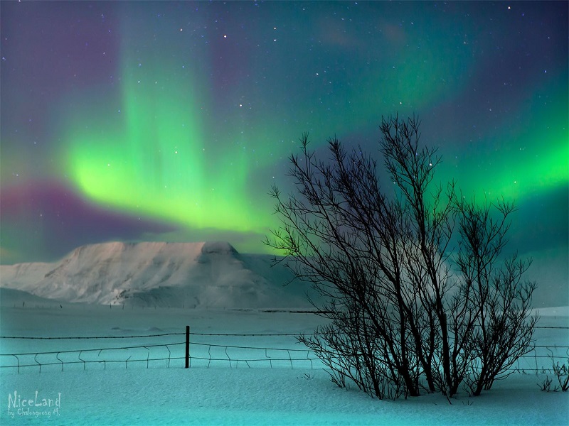 Reykjavik & Northern Lights 